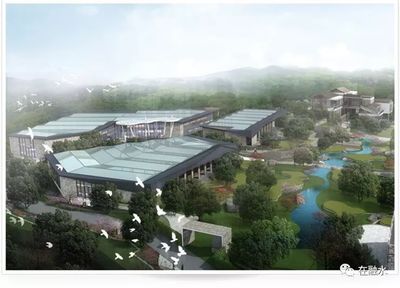 靈芝與文化創意的完美融合 廣西仙草堂的企業探索